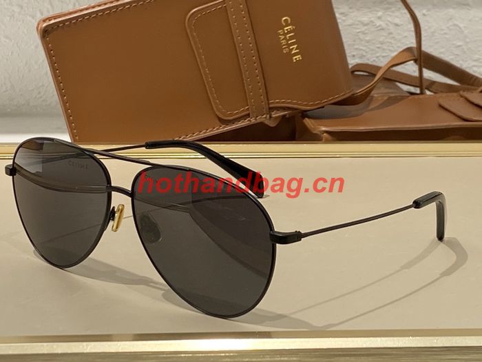 Celine Sunglasses Top Quality CES00597