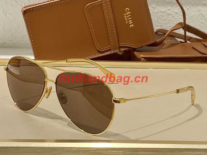 Celine Sunglasses Top Quality CES00598