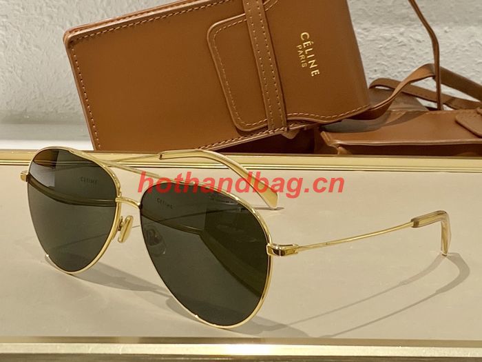 Celine Sunglasses Top Quality CES00599