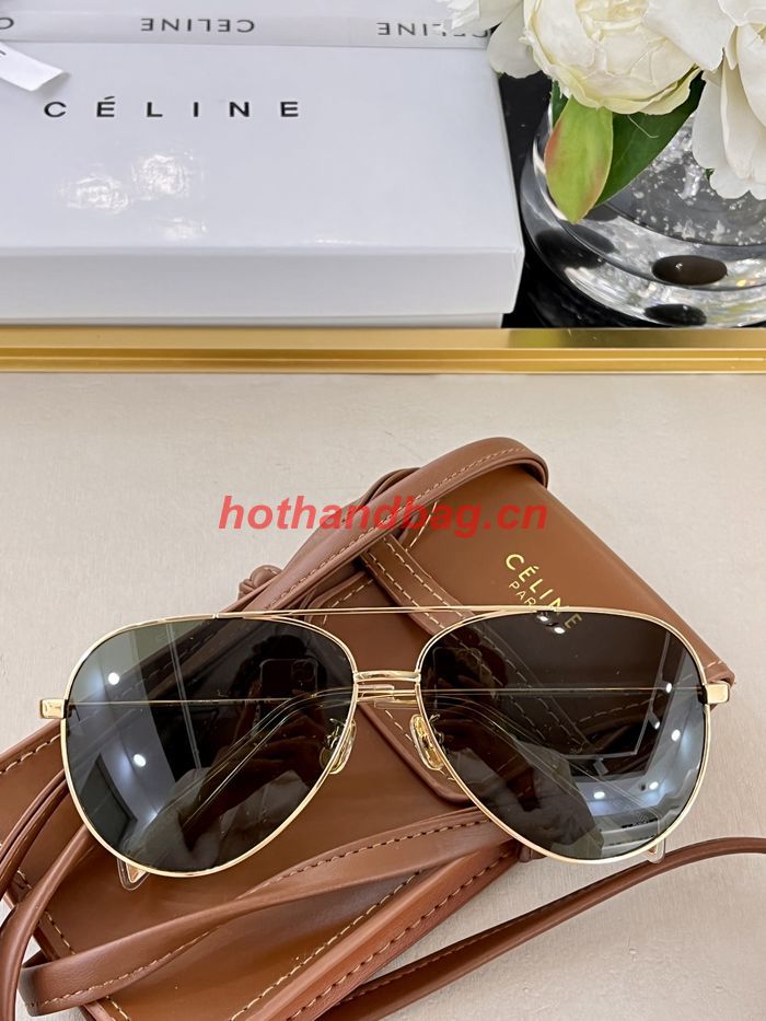 Celine Sunglasses Top Quality CES00600