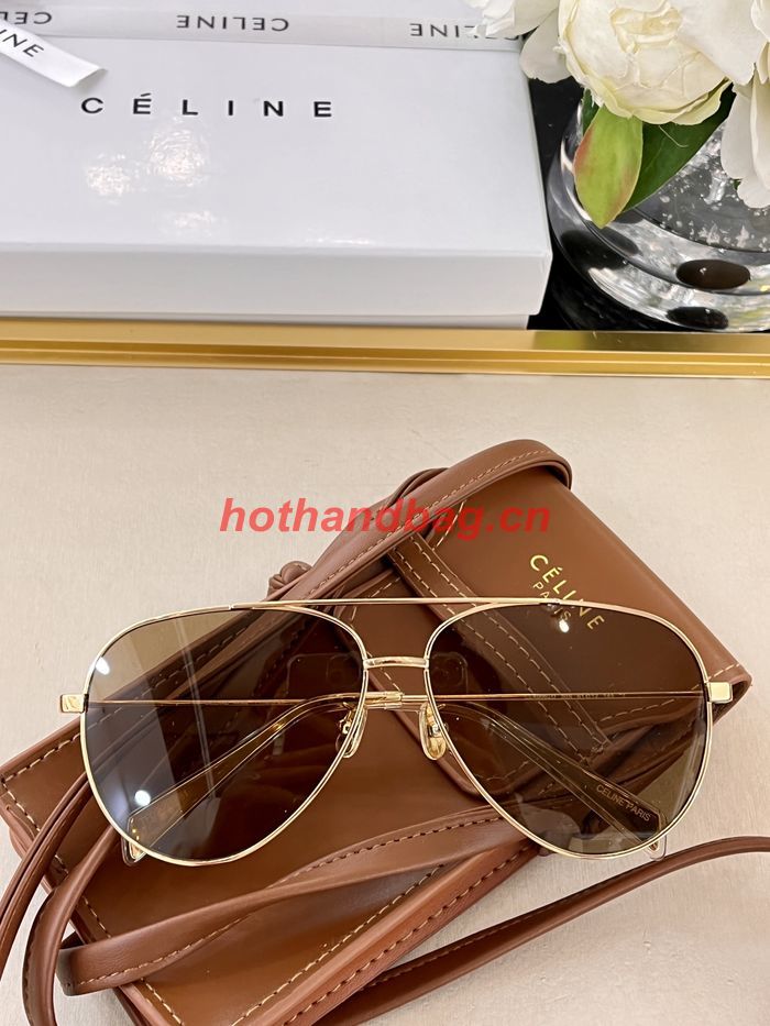 Celine Sunglasses Top Quality CES00601
