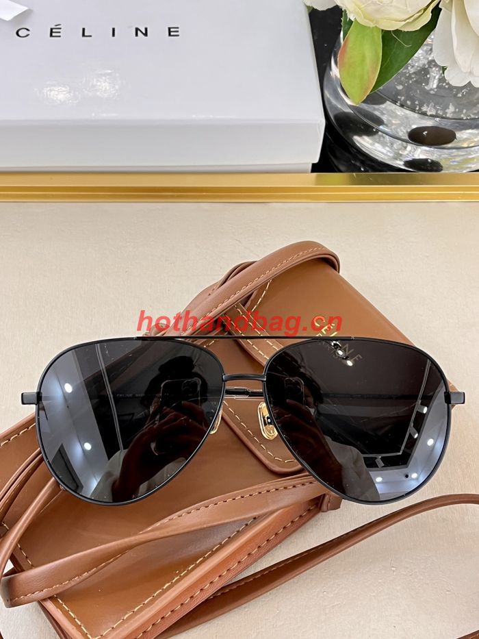 Celine Sunglasses Top Quality CES00602