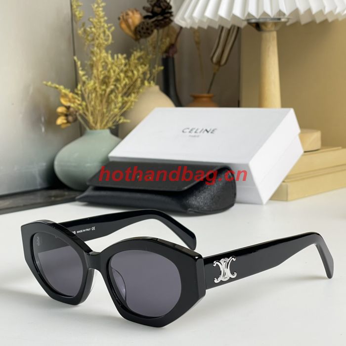 Celine Sunglasses Top Quality CES00610