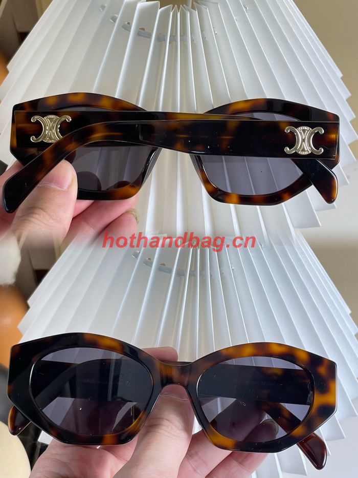 Celine Sunglasses Top Quality CES00617