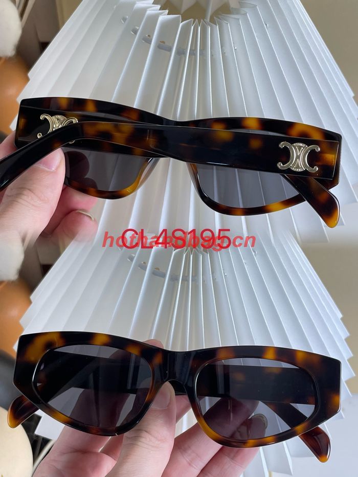 Celine Sunglasses Top Quality CES00635
