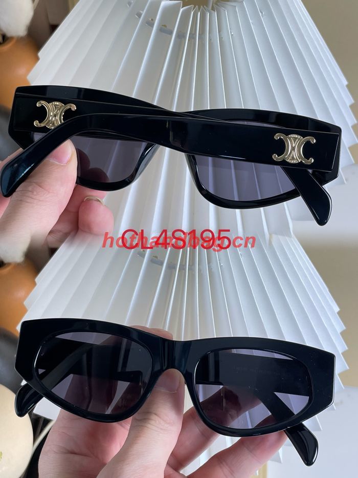 Celine Sunglasses Top Quality CES00637