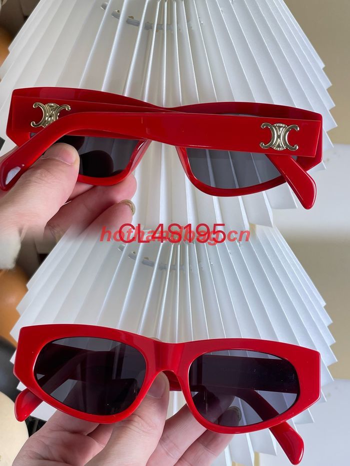 Celine Sunglasses Top Quality CES00638
