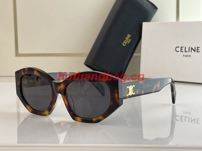 Celine Sunglasses Top Quality CES00643