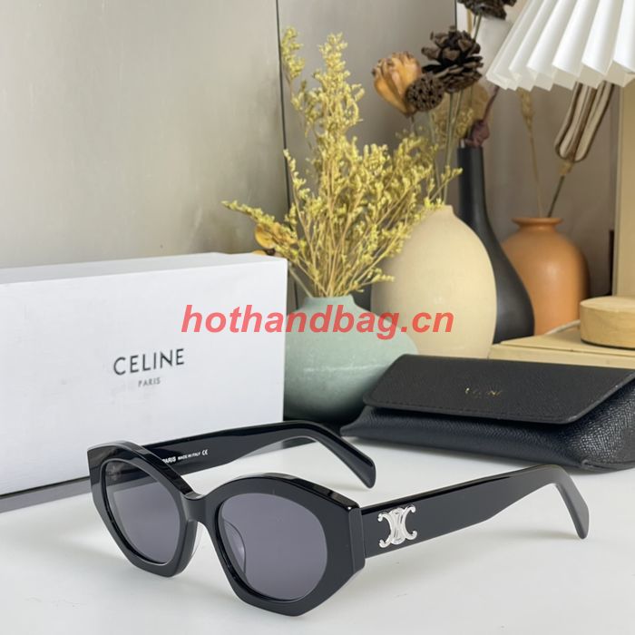 Celine Sunglasses Top Quality CES00671