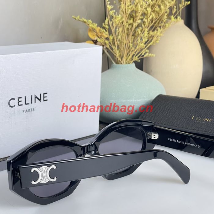 Celine Sunglasses Top Quality CES00675