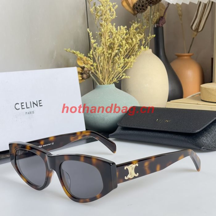 Celine Sunglasses Top Quality CES00680