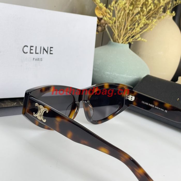 Celine Sunglasses Top Quality CES00684
