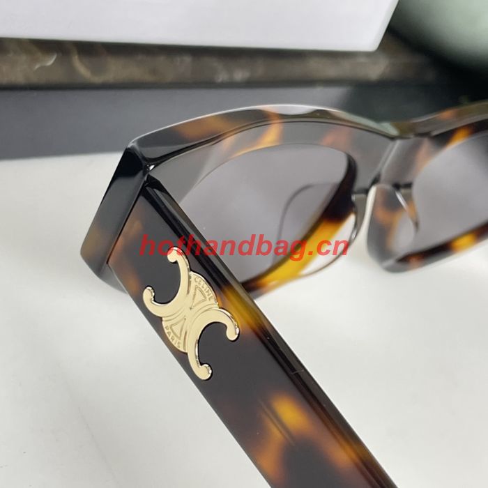Celine Sunglasses Top Quality CES00685