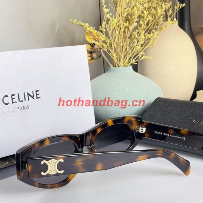 Celine Sunglasses Top Quality CES00686