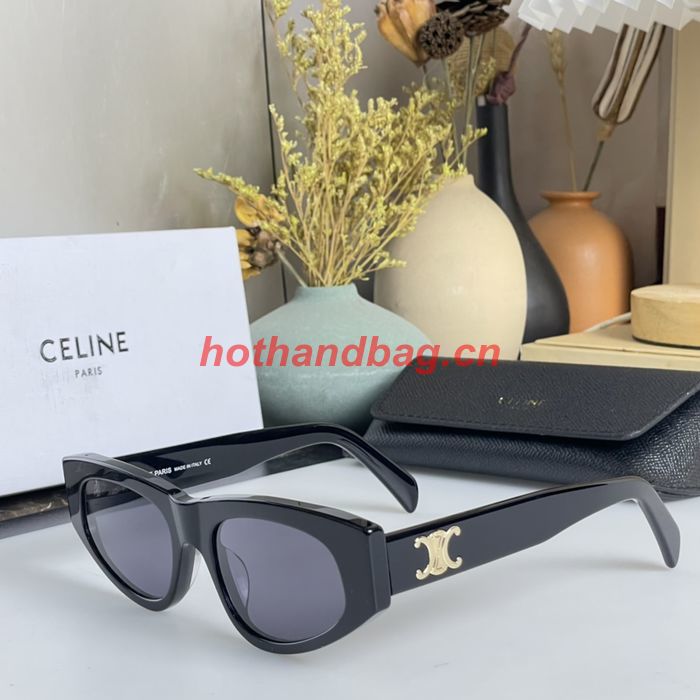 Celine Sunglasses Top Quality CES00689