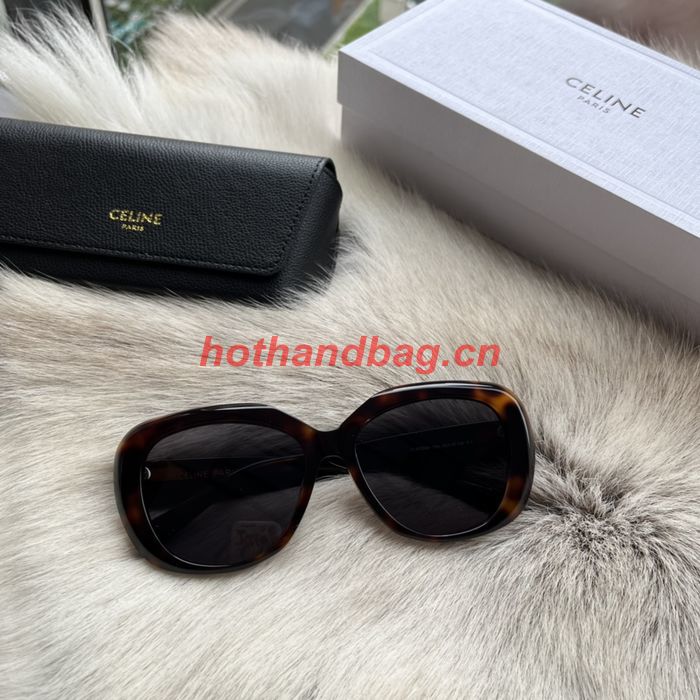 Celine Sunglasses Top Quality CES00708