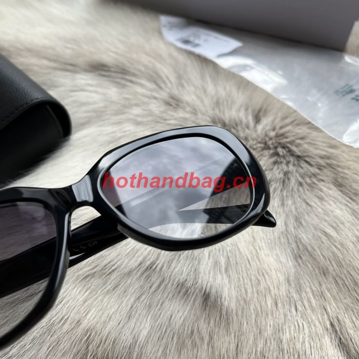 Celine Sunglasses Top Quality CES00713
