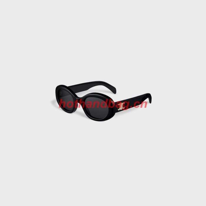 Celine Sunglasses Top Quality CES00714