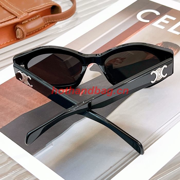 Celine Sunglasses Top Quality CES00738