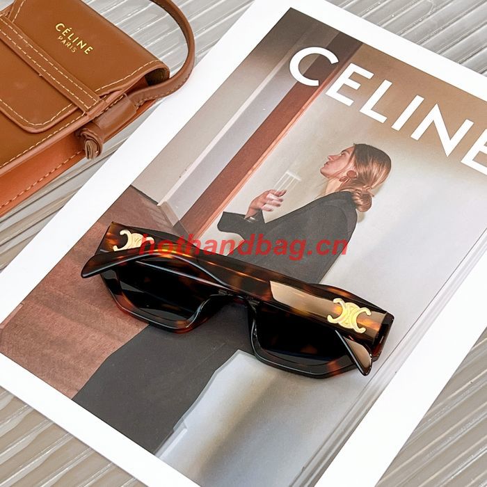 Celine Sunglasses Top Quality CES00752
