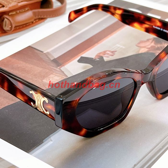 Celine Sunglasses Top Quality CES00753