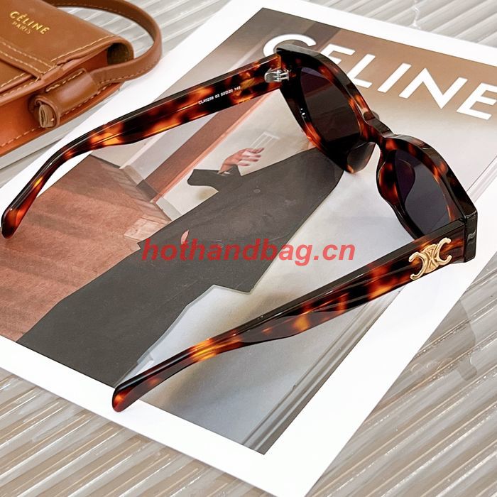 Celine Sunglasses Top Quality CES00754