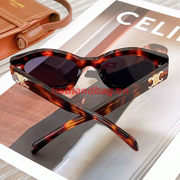 Celine Sunglasses Top Quality CES00756
