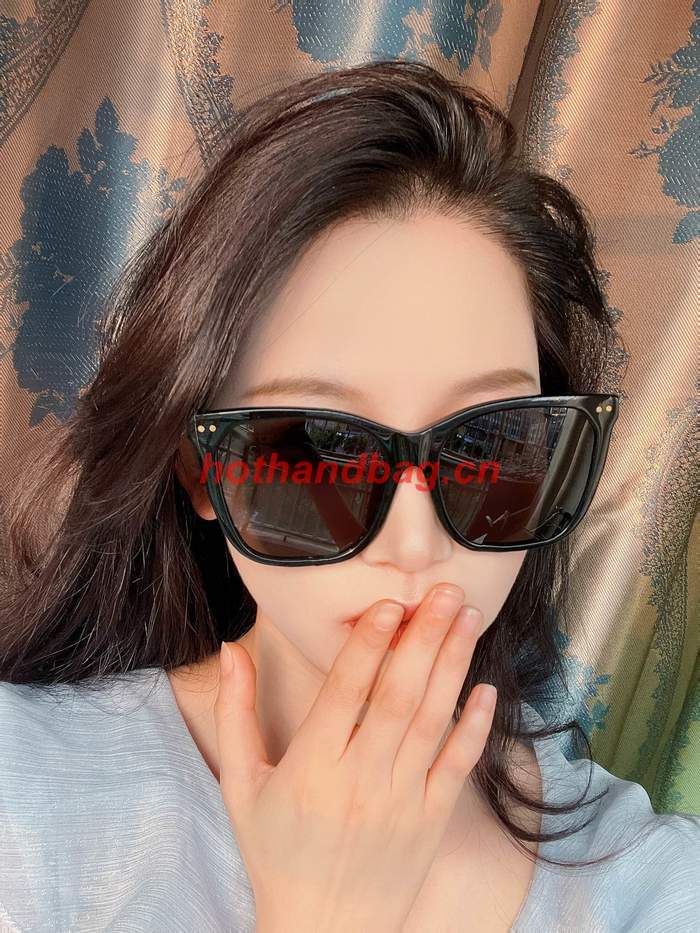 Celine Sunglasses Top Quality CES00786