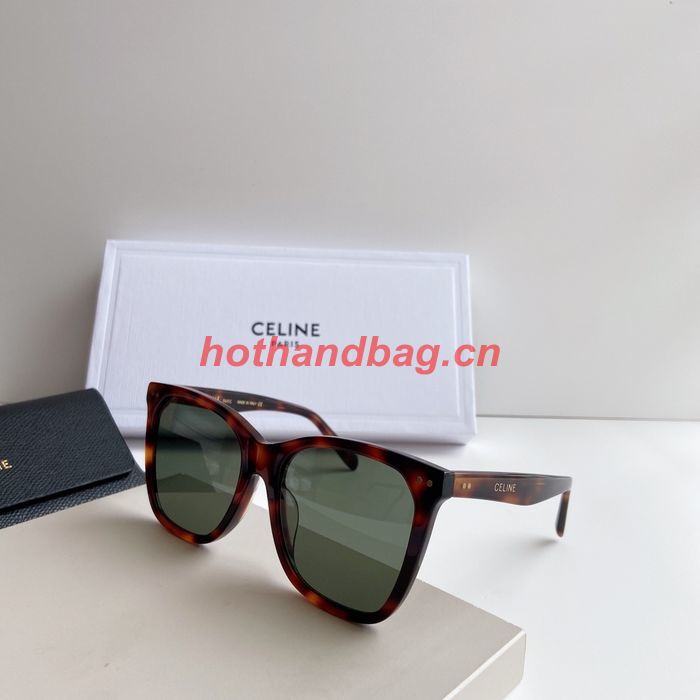 Celine Sunglasses Top Quality CES00795