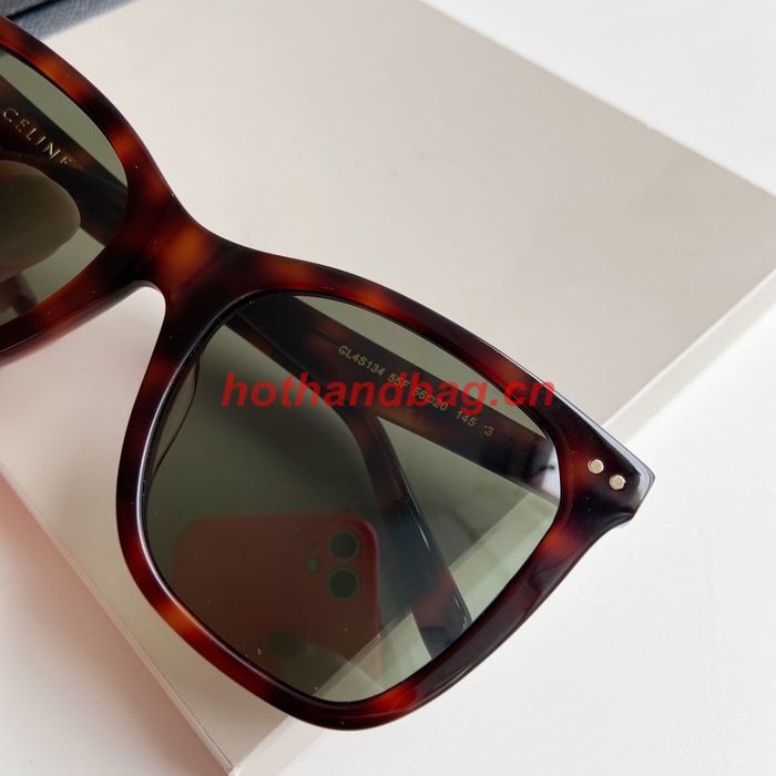 Celine Sunglasses Top Quality CES00797