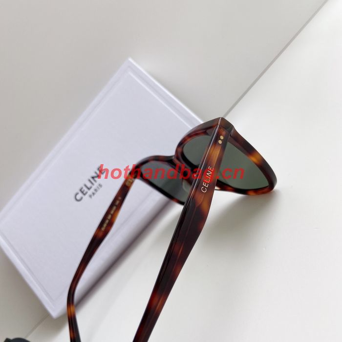 Celine Sunglasses Top Quality CES00798
