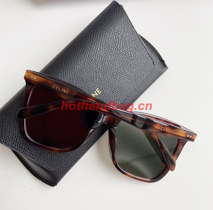 Celine Sunglasses Top Quality CES00799