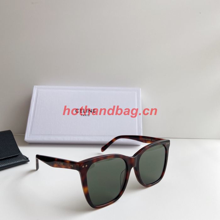 Celine Sunglasses Top Quality CES00800