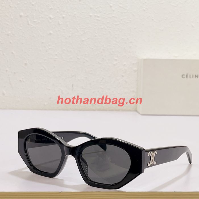 Celine Sunglasses Top Quality CES00828