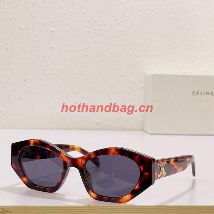 Celine Sunglasses Top Quality CES00832
