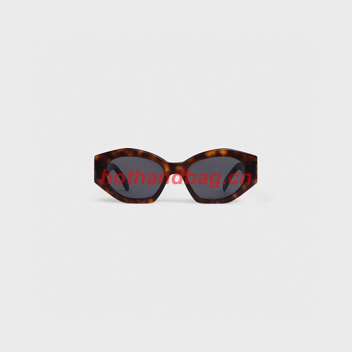 Celine Sunglasses Top Quality CES00840