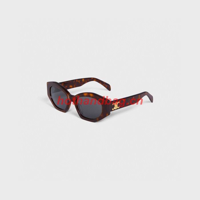 Celine Sunglasses Top Quality CES00841
