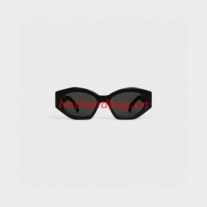 Celine Sunglasses Top Quality CES00843
