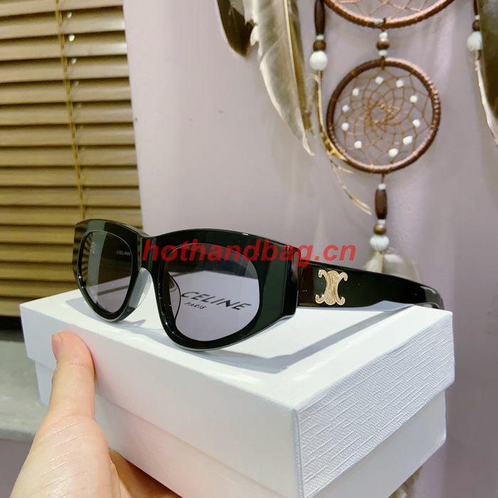 Celine Sunglasses Top Quality CES00859