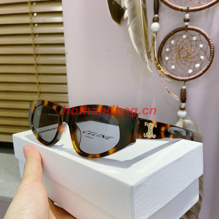Celine Sunglasses Top Quality CES00861