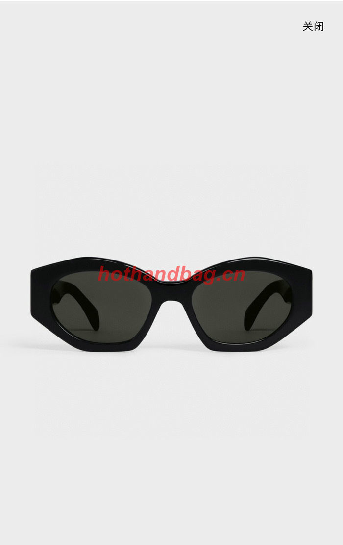 Celine Sunglasses Top Quality CES00877