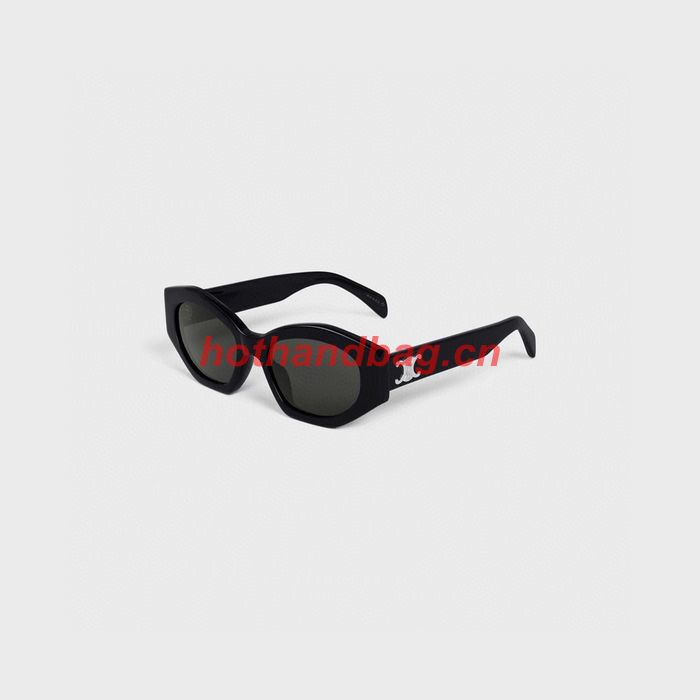 Celine Sunglasses Top Quality CES00879