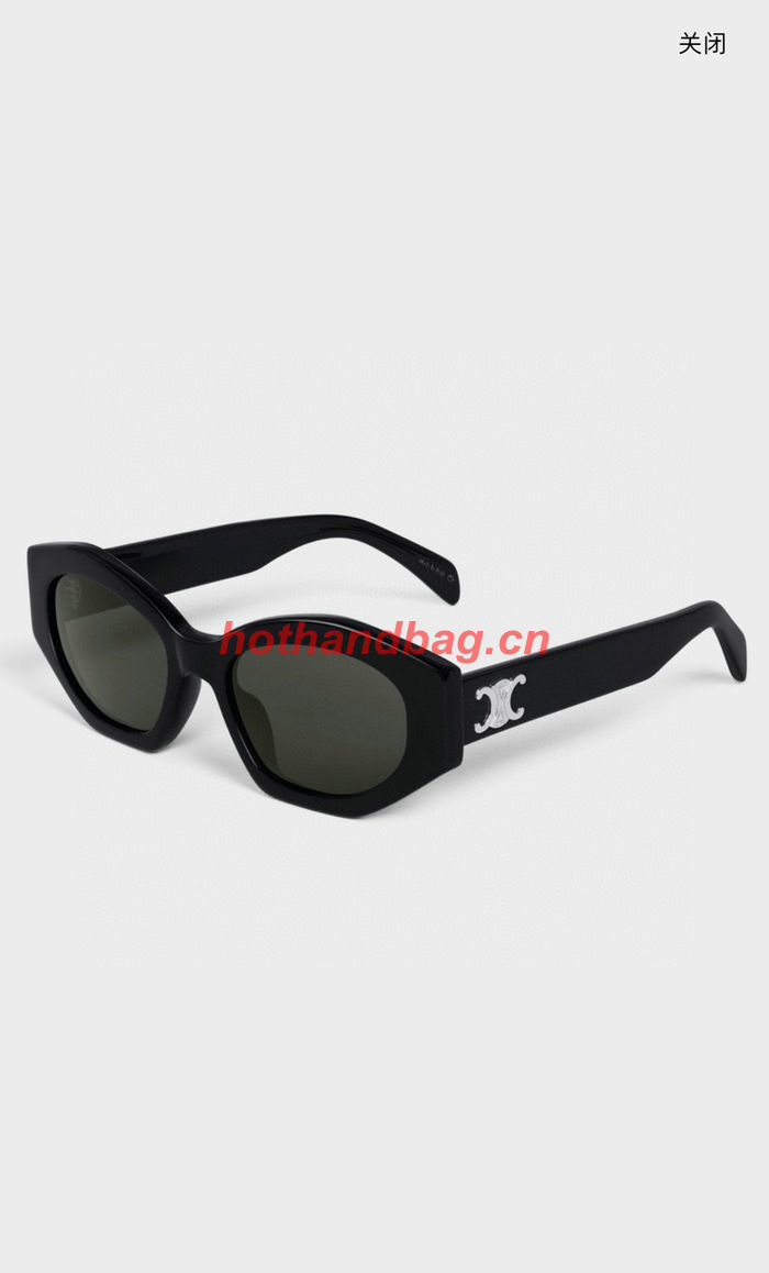 Celine Sunglasses Top Quality CES00881