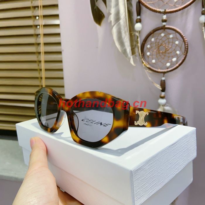 Celine Sunglasses Top Quality CES00884