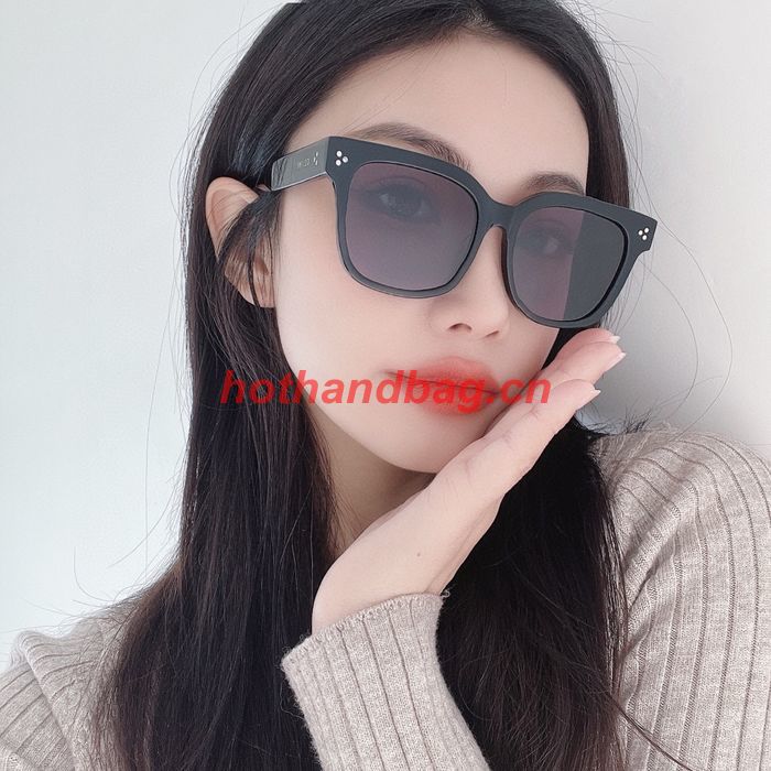 Celine Sunglasses Top Quality CES00913