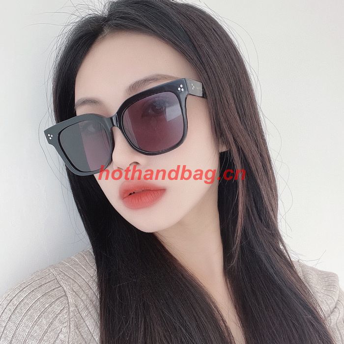 Celine Sunglasses Top Quality CES00915