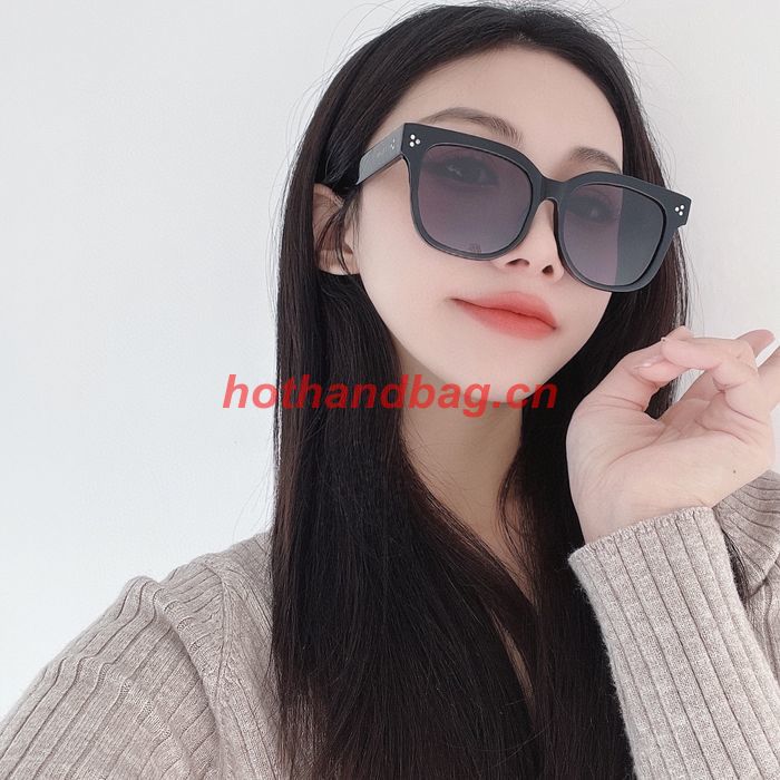 Celine Sunglasses Top Quality CES00916