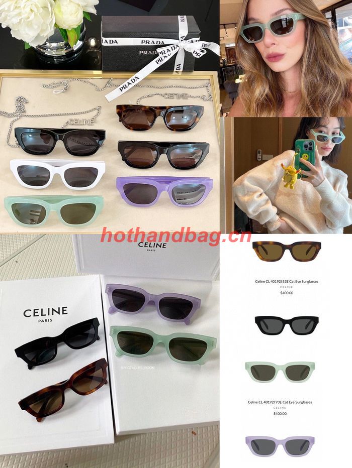 Celine Sunglasses Top Quality CES00918