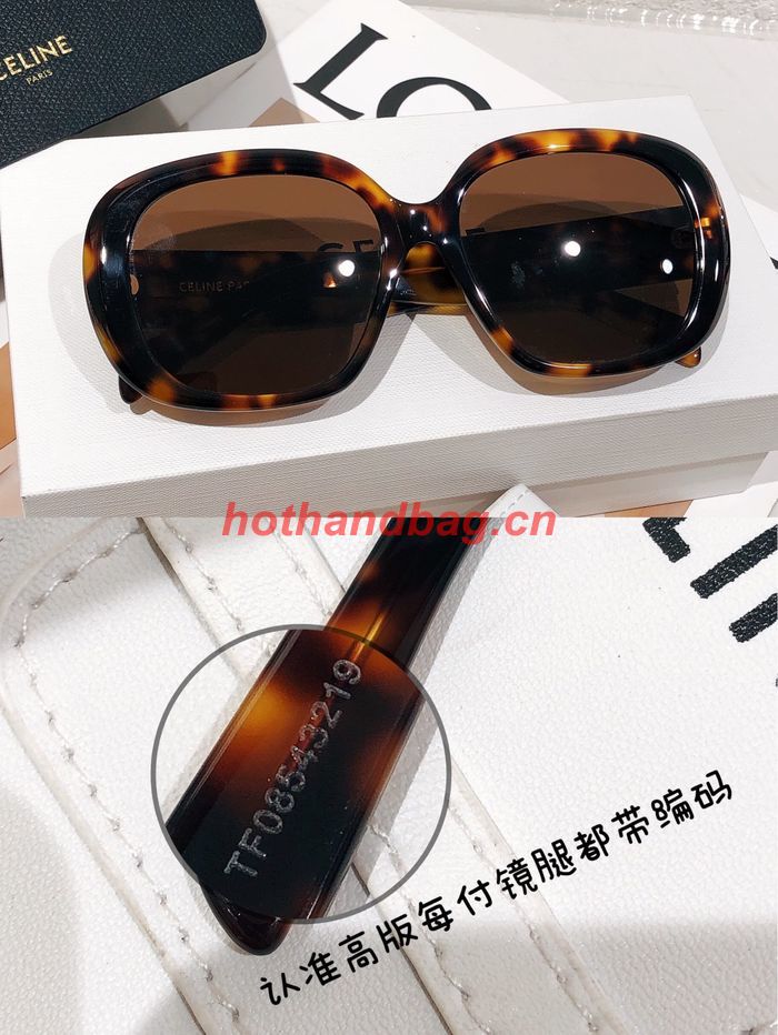 Celine Sunglasses Top Quality CES00942