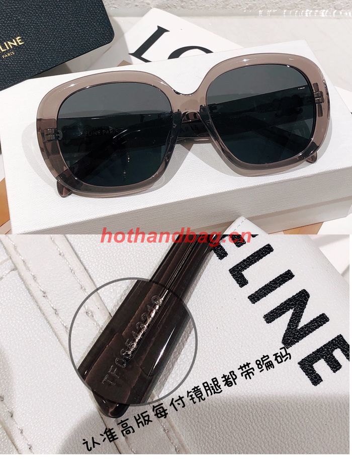 Celine Sunglasses Top Quality CES00944